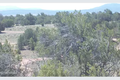 1432 S Kaibab Road, Williams, AZ 86046 - Photo 4