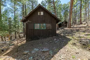6248 Dairy Ln, Mormon Lake, AZ 86038 - Photo 34