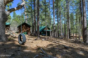 6248 Dairy Ln, Mormon Lake, AZ 86038 - Photo 6