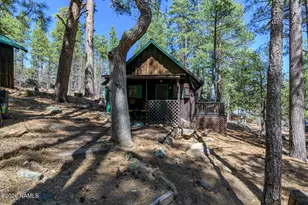 6248 Dairy Ln, Mormon Lake, AZ 86038 - Photo 10
