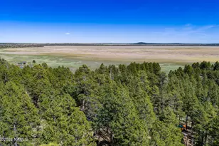 6248 Dairy Ln, Mormon Lake, AZ 86038 - Photo 2