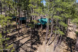 6248 Dairy Ln, Mormon Lake, AZ 86038 - Photo 4