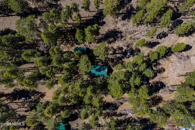 6248 Dairy Lane, Mormon Lake, AZ 86038 - Photo 36