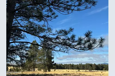 003 Hart Prairie Rd, Flagstaff, AZ 86001 - Photo 18