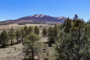 003 Hart Prairie Rd, Flagstaff, AZ 86001 - Photo 1