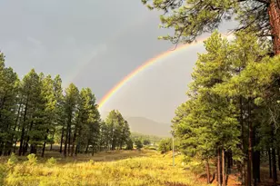 2168 N Fremont Blvd, Flagstaff, AZ 86001 - Photo 50