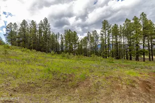 2168 N Fremont Blvd, Flagstaff, AZ 86001 - Photo 38
