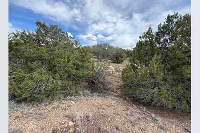 12581 N Chino Road, Williams, AZ 86046 - Photo 4
