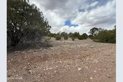 12581 N Chino Road, Williams, AZ 86046 - Photo 8