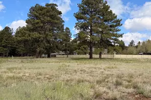 142 Anthem Dr, Williams, AZ 86046 - Photo 1