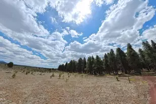 12565 Camp Kimball Rd, Parks, AZ 86018 - Photo 1