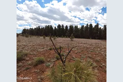 12565 Camp Kimball Road, Parks, AZ 86018 - Photo 46
