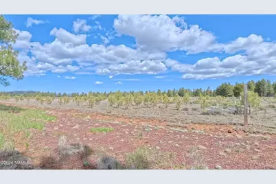 12565 Camp Kimball Road, Parks, AZ 86018 - Photo 20