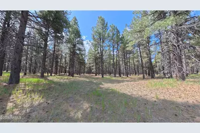 12565 Camp Kimball Road, Parks, AZ 86018 - Photo 12