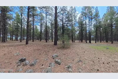 12565 Camp Kimball Road, Parks, AZ 86018 - Photo 34