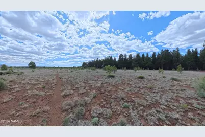 12565 Camp Kimball Road, Parks, AZ 86018 - Photo 18