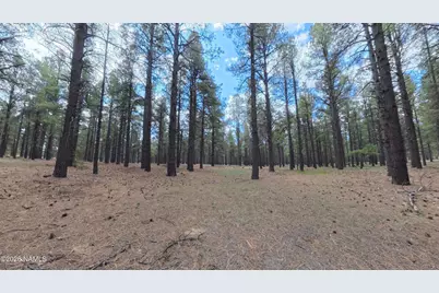 12565 Camp Kimball Road, Parks, AZ 86018 - Photo 32