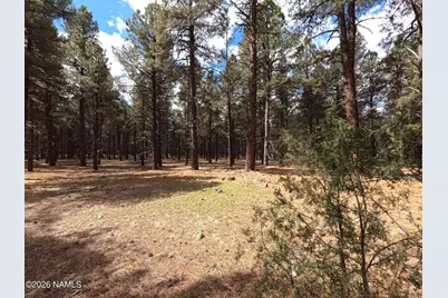 12565 Camp Kimball Road, Parks, AZ 86018 - Photo 36