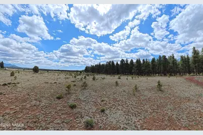 12565 Camp Kimball Road, Parks, AZ 86018 - Photo 48