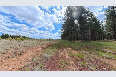 12565 Camp Kimball Road, Parks, AZ 86018 - Photo 54