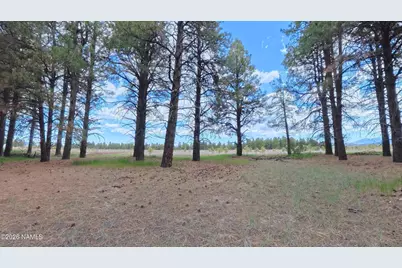 12565 Camp Kimball Road, Parks, AZ 86018 - Photo 12