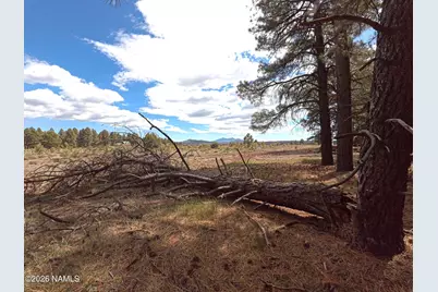 12565 Camp Kimball Road, Parks, AZ 86018 - Photo 22