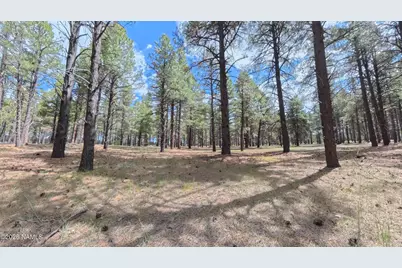 12565 Camp Kimball Road, Parks, AZ 86018 - Photo 40