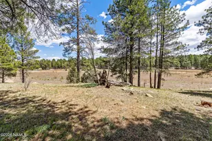 5101 E Lake Country Rd, Flagstaff, AZ 86004 - Photo 96