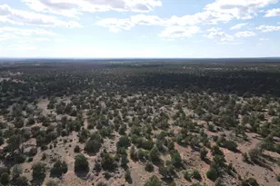 8348 Red Butte Rd, Williams, AZ 86046 - Photo 84
