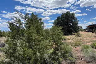 8348 Red Butte Rd, Williams, AZ 86046 - Photo 8