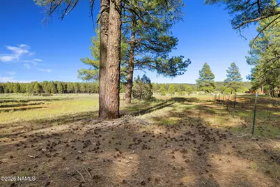 454 W Clay Park Way #24, Munds Park, AZ 86017 - Photo 14