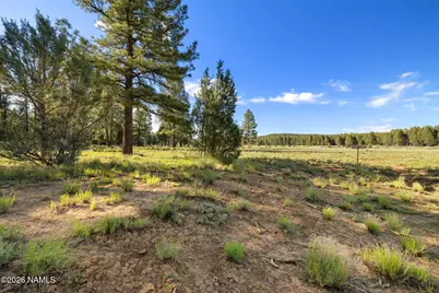 454 W Clay Park Way #24, Munds Park, AZ 86017 - Photo 18