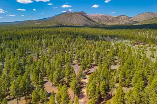 3335 N Jackrabbitt Ln, Flagstaff, AZ 86001 - Photo 52