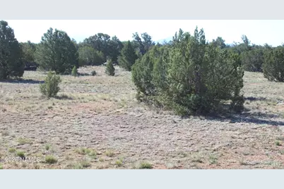 4063 E Woodland Ranch Road, Williams, AZ 86046 - Photo 4