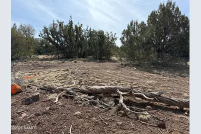 732 E Sidewinder Road, Williams, AZ 86046 - Photo 10