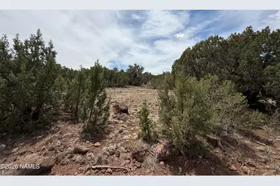 732 E Sidewinder Road, Williams, AZ 86046 - Photo 6
