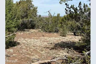732 E Sidewinder Road, Williams, AZ 86046 - Photo 8