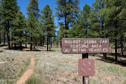 2238 Co Bar Trail, Flagstaff, AZ 86005 - Photo 10