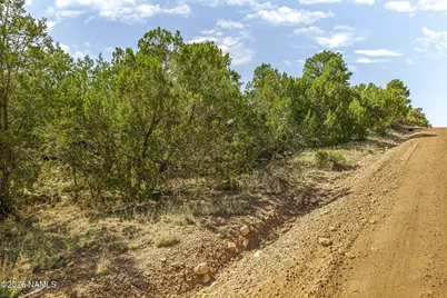 3512 W Pine Rim Drive #237, Heber, AZ 85933 - Photo 10