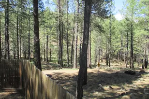 2290 W Adirondack Ave, Flagstaff, AZ 86001 - Photo 30