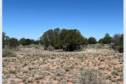 3927 Mohave Lot A 12 Acres Trail, Williams, AZ 86046 - Photo 8