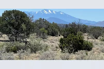 3927 Mohave Lot B 12 Acres Trail, Williams, AZ 86046 - Photo 1
