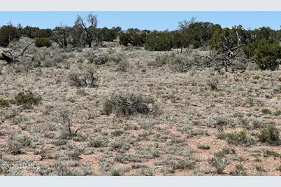 3927 Mohave Lot C 12 Acres Trail, Williams, AZ 86046 - Photo 6