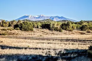 12851 Townsend-Winona Rd, Flagstaff, AZ 86004 - Photo 20