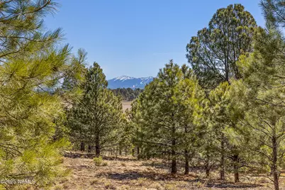 747 N Davenport Lk Road, Williams, AZ 86046 - Photo 2