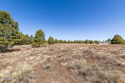 747 N Davenport Lk Road, Williams, AZ 86046 - Photo 14