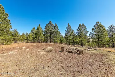 747 N Davenport Lk Road, Williams, AZ 86046 - Photo 6