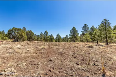 747 N Davenport Lk Road, Williams, AZ 86046 - Photo 10