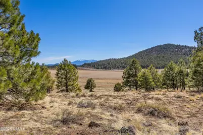 747 N Davenport Lk Road, Williams, AZ 86046 - Photo 4