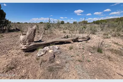 11718 S Blackbird Way, Williams, AZ 86046 - Photo 6